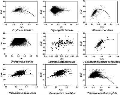 The Codon Usage Bias Analysis of Free-Living Ciliates’ Macronuclear Genomes and Clustered Regularly Interspaced Short Palindromic Repeats/Cas9 Vector Construction of Stylonychia lemnae